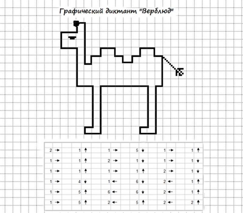 Графический диктант по клеточкам для дошкольников 6-7 верблюд
