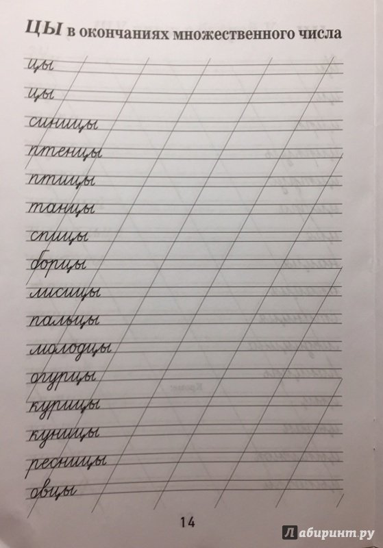 Прописи жи ши