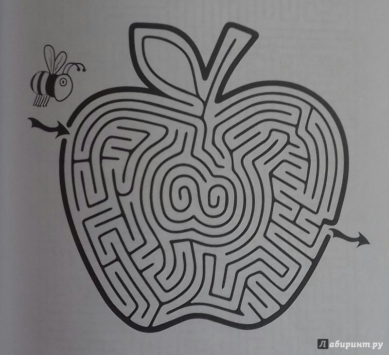 Лабиринты Шамиля Ахмадуллина