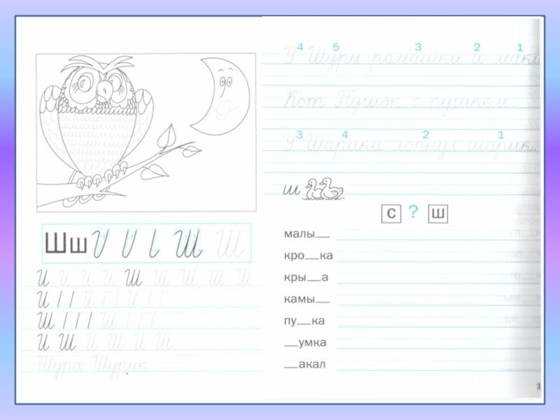 Письмо буквы ш