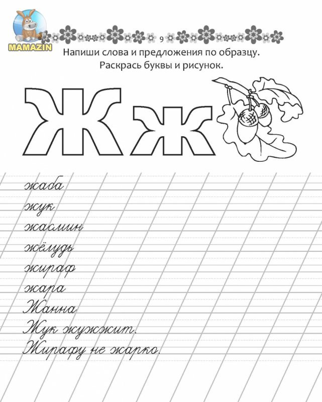 Буква ж пропись