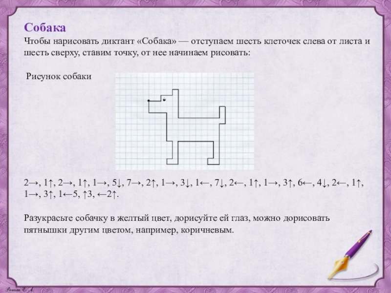 Графический диктант собака