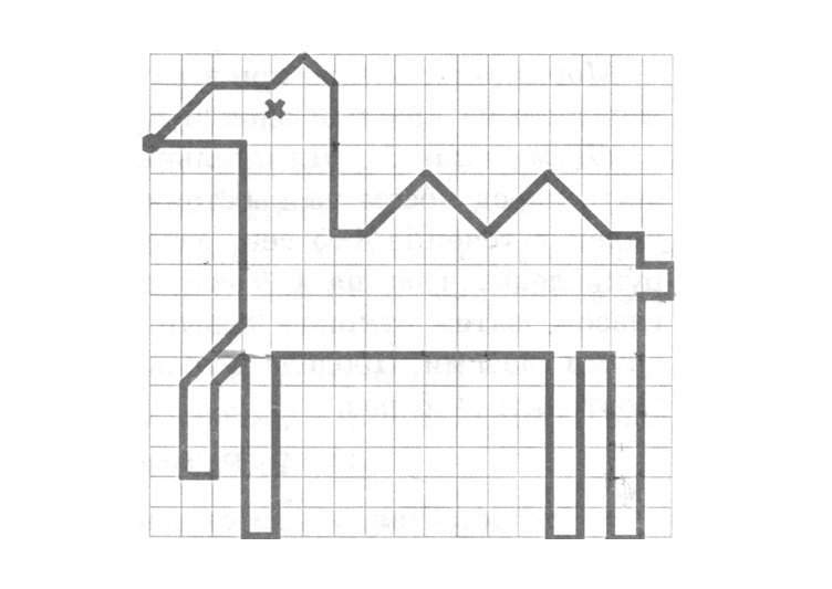 Графический диктант верблюд Холодова
