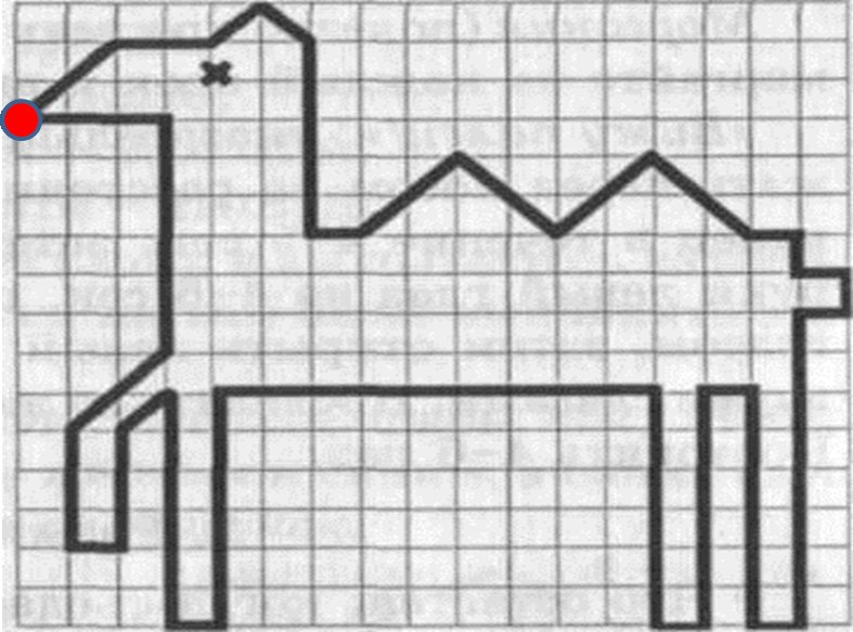 Графический диктант верблюд Холодова