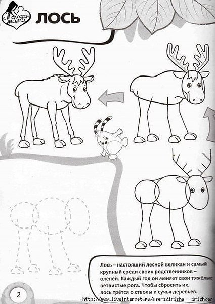 Лесные животные пошагово