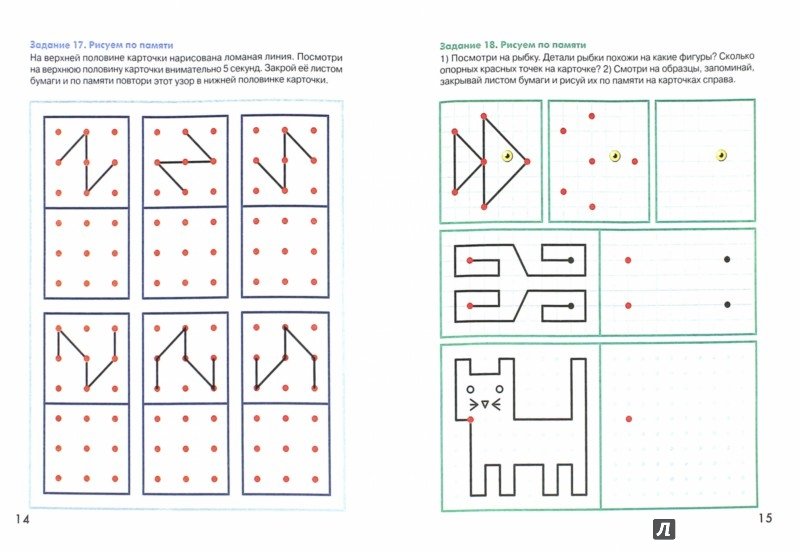 Нейропсихологические задания для детей 6-7 лет