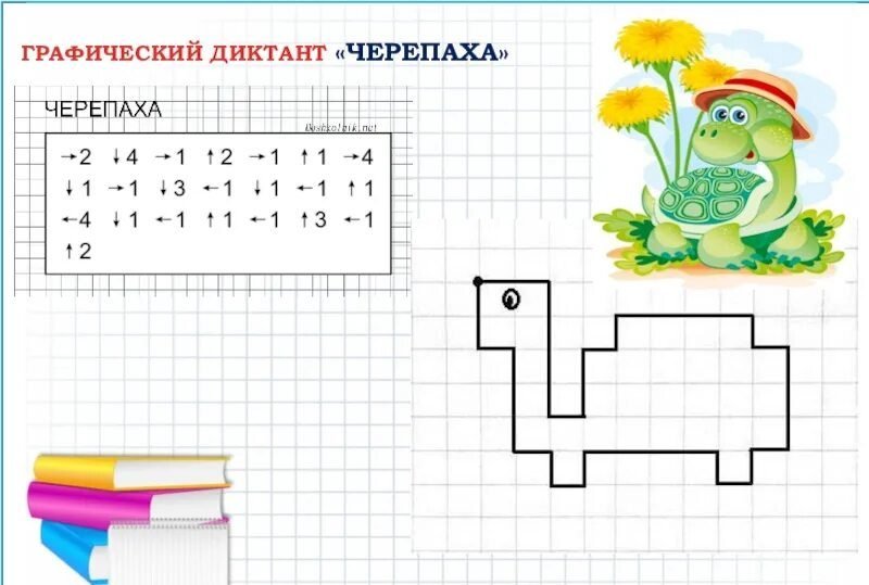 Графический диктант черепаха для дошкольников 6-7
