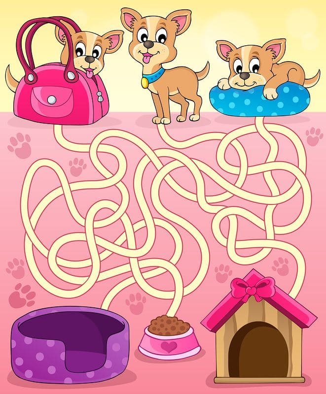Лабиринт собака