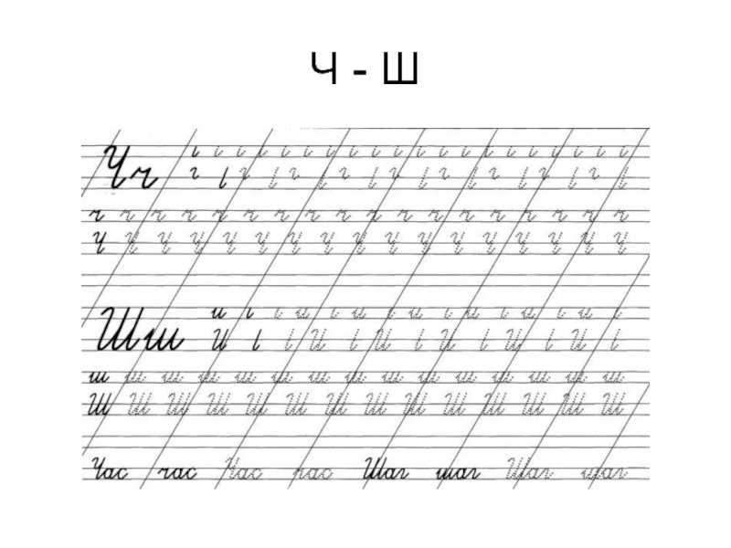 Прописи буква ш