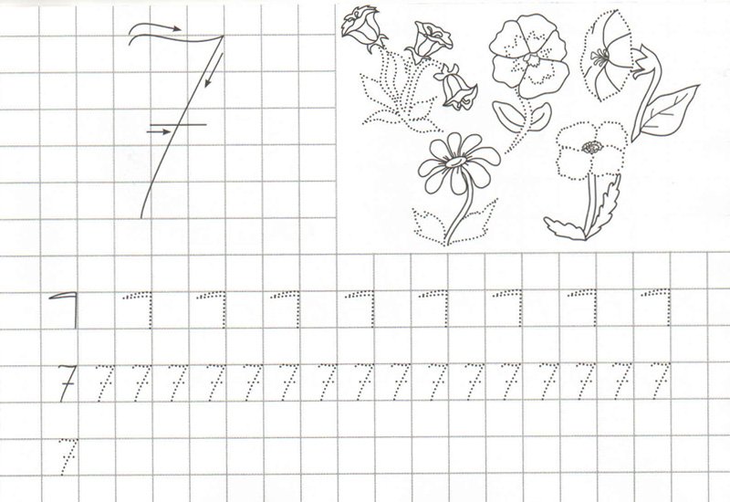 Прописи для дошкольников 5-6 лет цифра 7