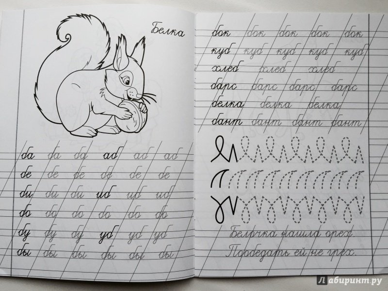 Написание букв прописи