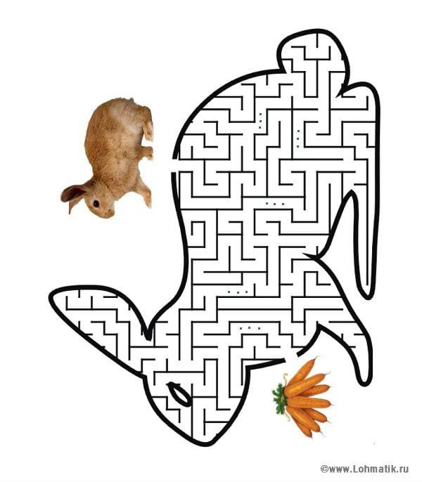 Лабиринт с животными для детей