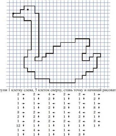 Графический диктант Фламинго