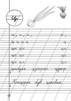 Буква ц пропись