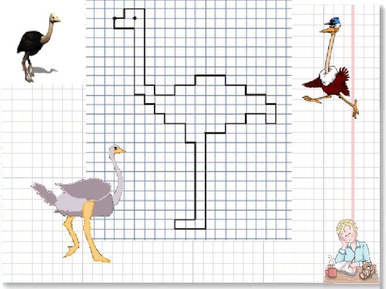Графический диктант Жираф для дошкольников