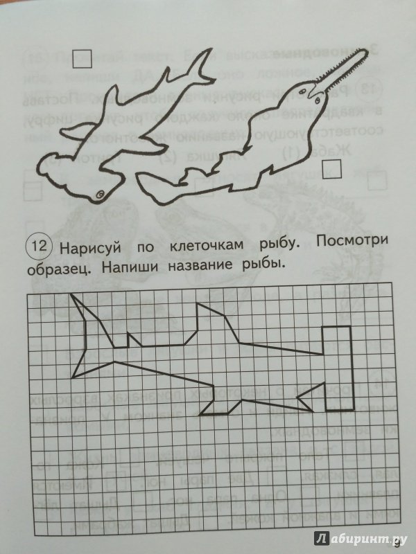 Рыба по клеточкам для дошкольников