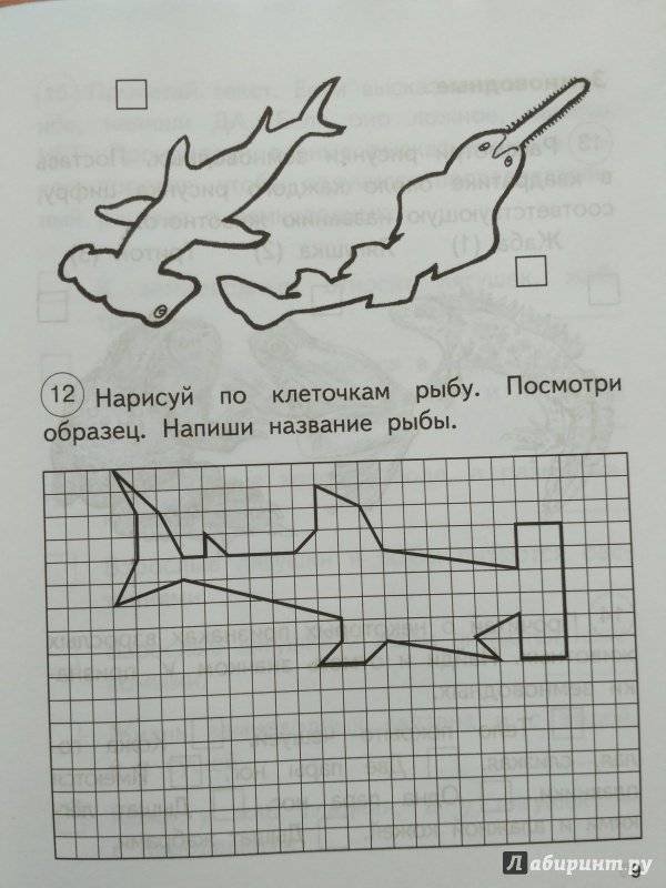 Графический диктант акула