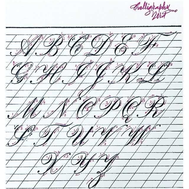Каллиграфия копперплейт прописи