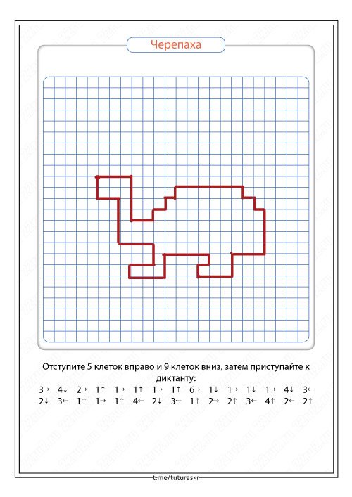 Графич диктант черепаха