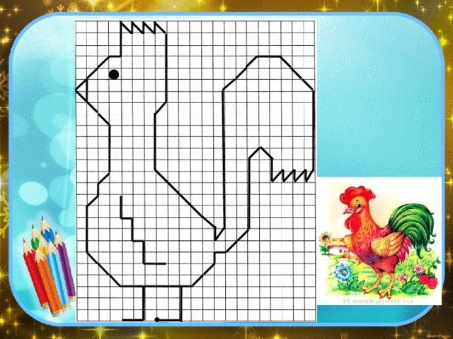 Графический диктант петух