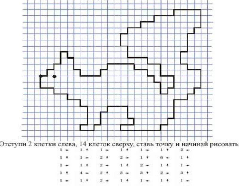 Графический диктант белка по клеточкам для дошкольников