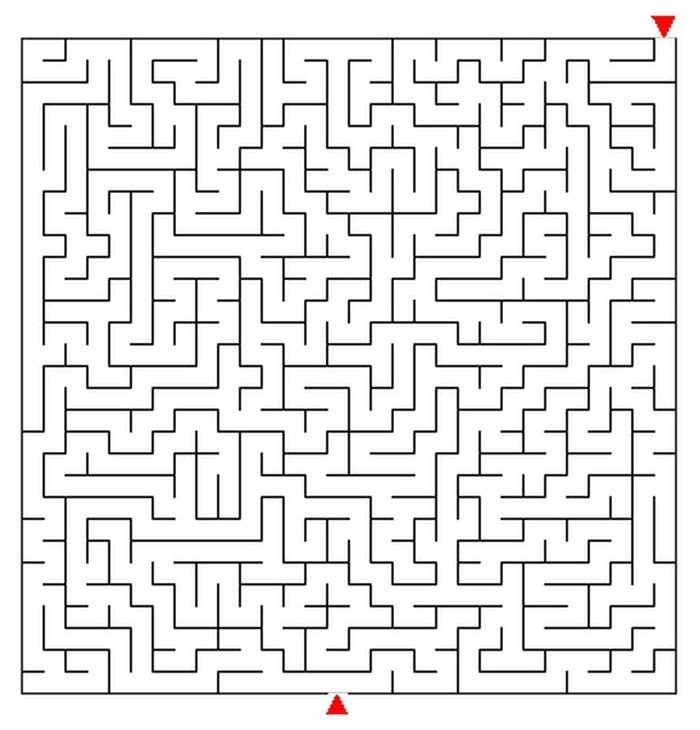 Лабиринт сложный
