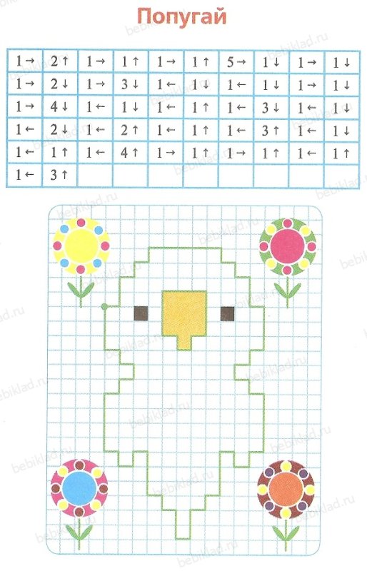 Графический диктант 2 класс попугай