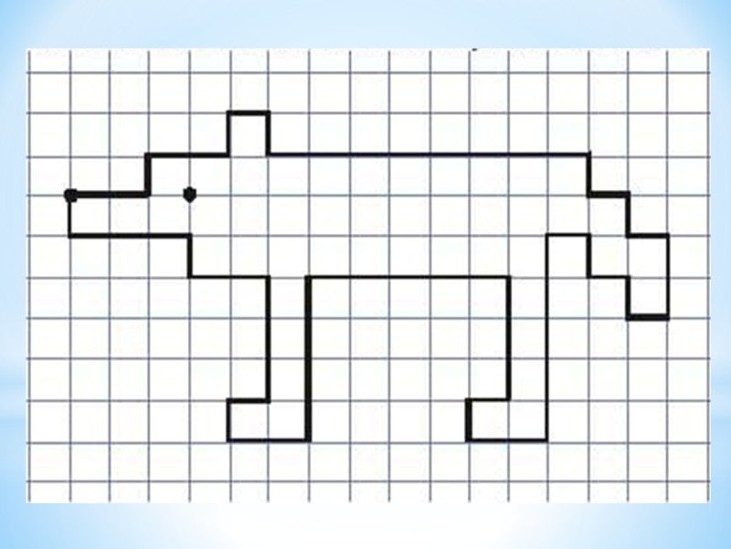 Графический диктант животные