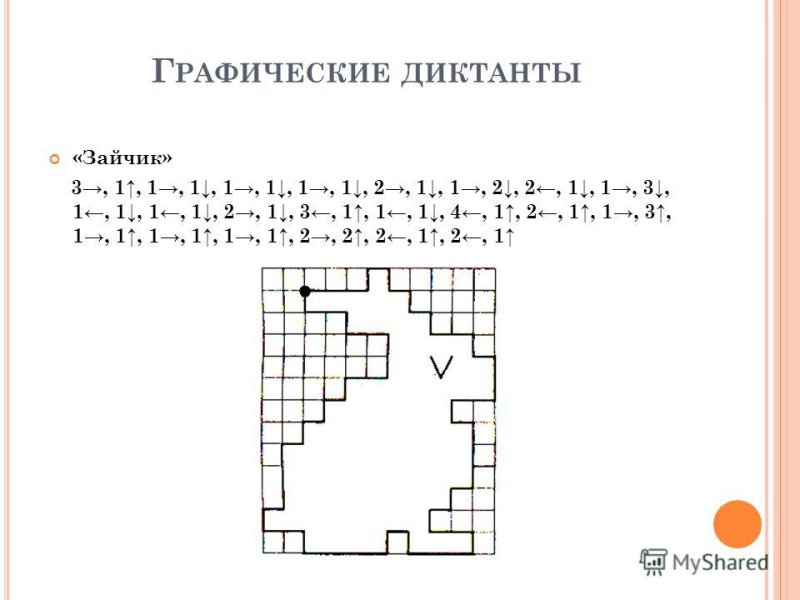 Графический дикьант зая