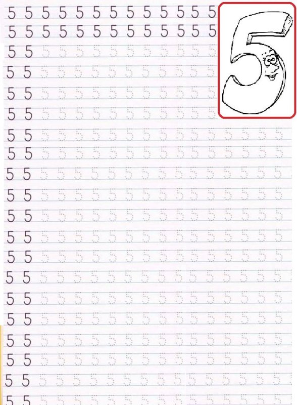 Прописи цифры 5 прописная