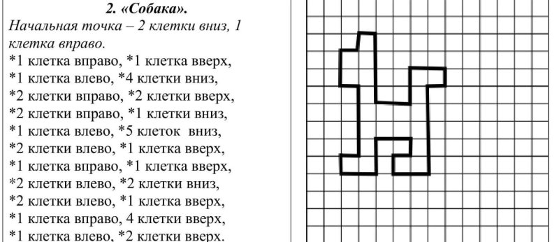 Математический диктант собачка для дошкольников по клеточкам