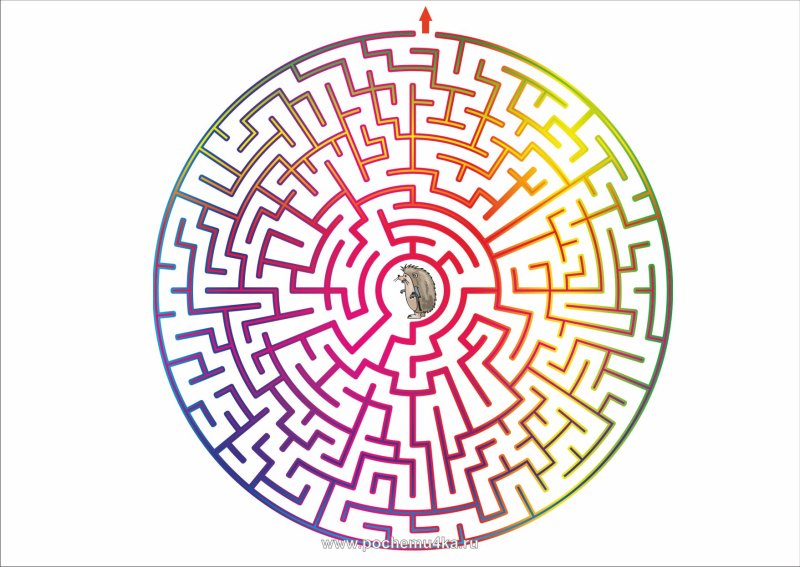 Лабиринт сложный