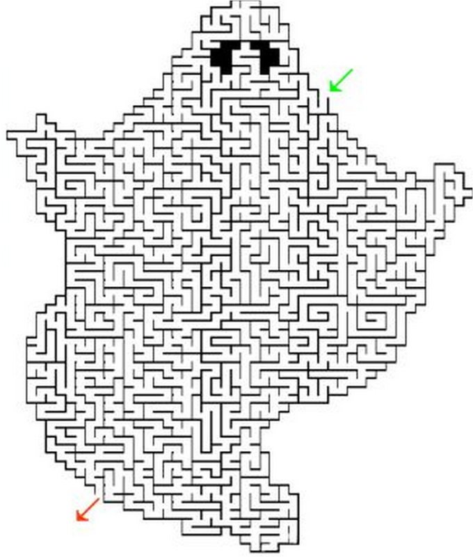 Лабиринт сложный