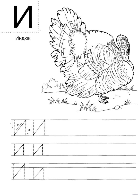 Прописи для дошкольников буквы печатные