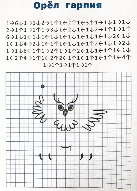 Графический диктант Сова