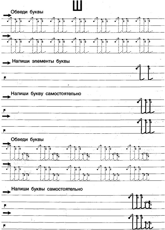 Прописи для левшей дошкольников