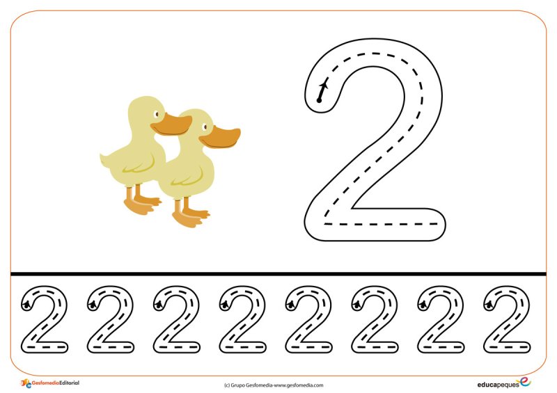 Цифра 2 пропись