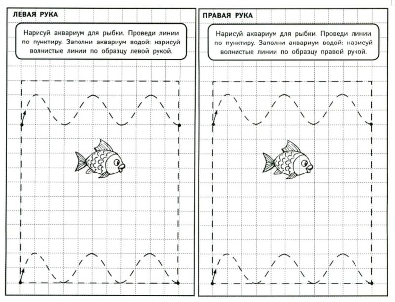 Упражнения на межполушарное взаимодействие для младших школьников