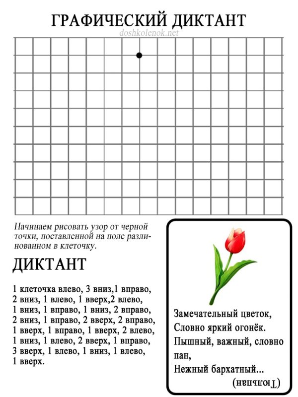 Графический диктант цветок по клеточкам
