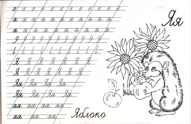 Прописи буква я
