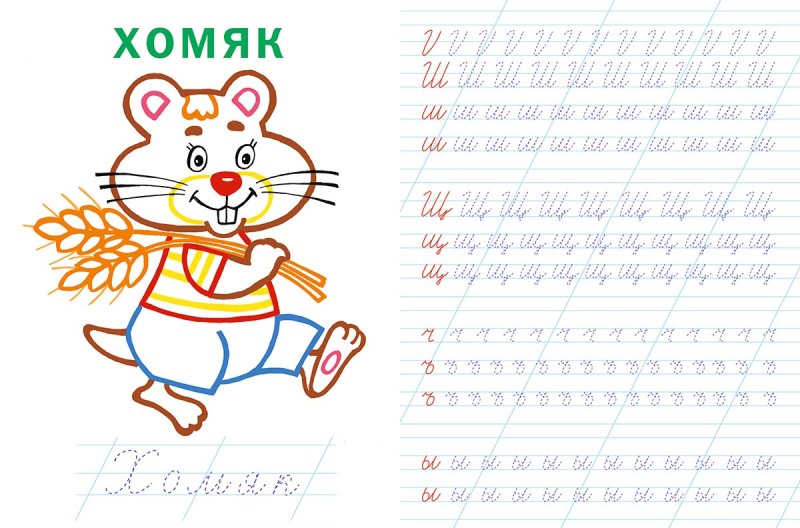 Прописи. Буквы