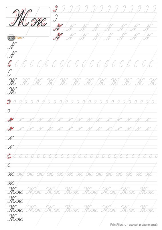 Прописи буквы ж для дошкольников прописная