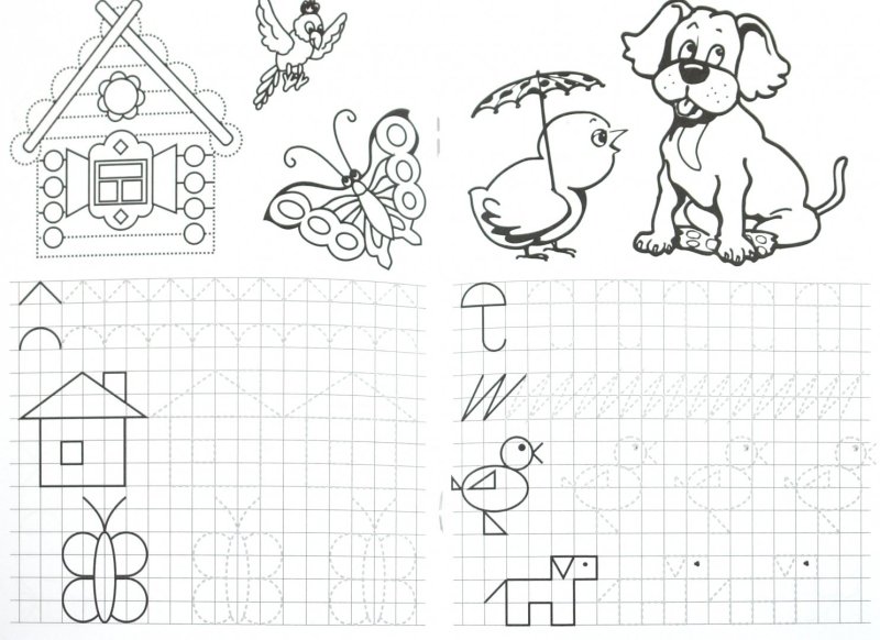 Прописи в клетку для дошкольников