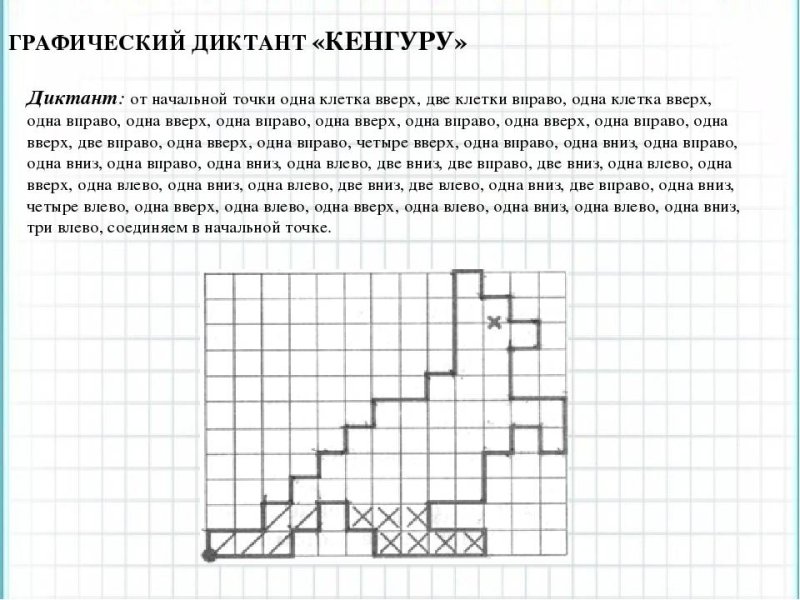 Графический диктант кенгуру по клеточкам для 1 класса