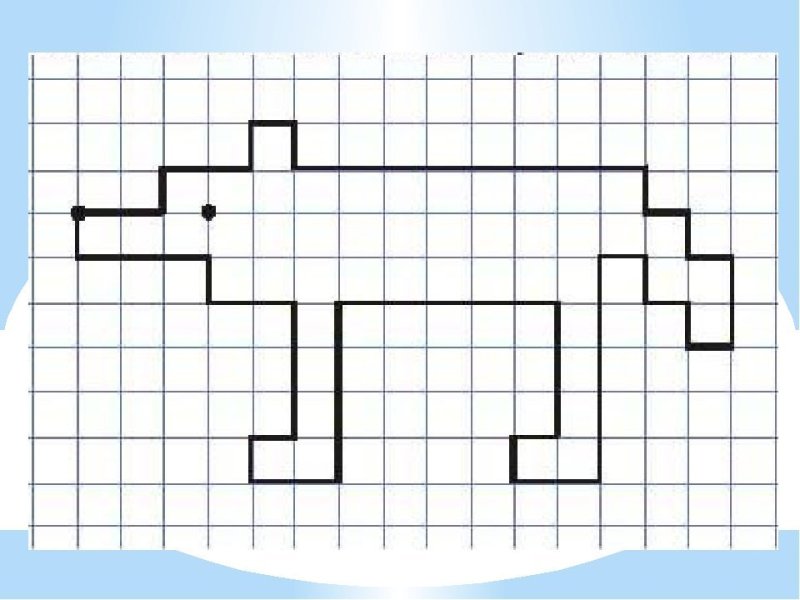 Графический диктант животные