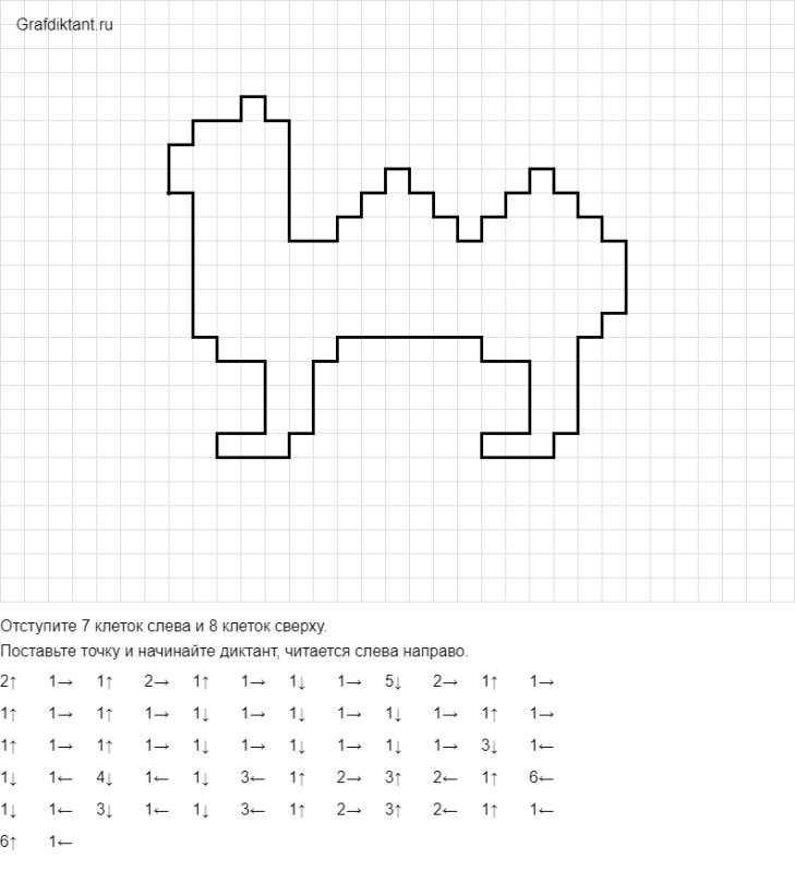 Графический диктант верблюд по клеточкам