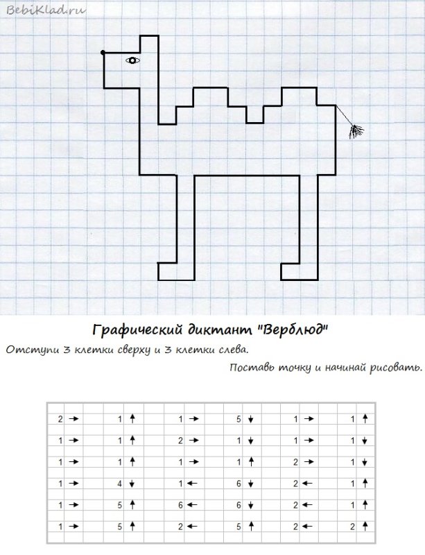 Графический диктант верблюд