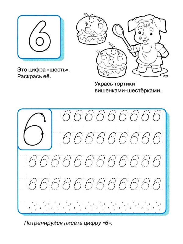 Число и цифра 6 пропись для дошкольников