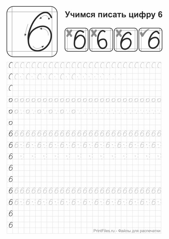 Цифра 6 пропись для дошкольников