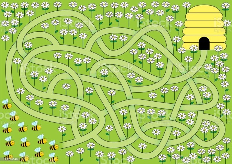 Игра бродилка Лабиринт